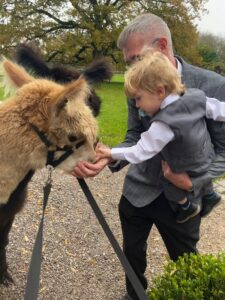 singleton_alpacas_2024_00001